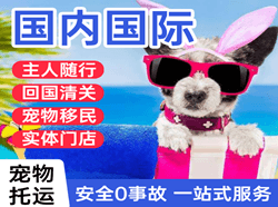 巴彦淖尔天吉泰机场托运国际宠物托运 【国